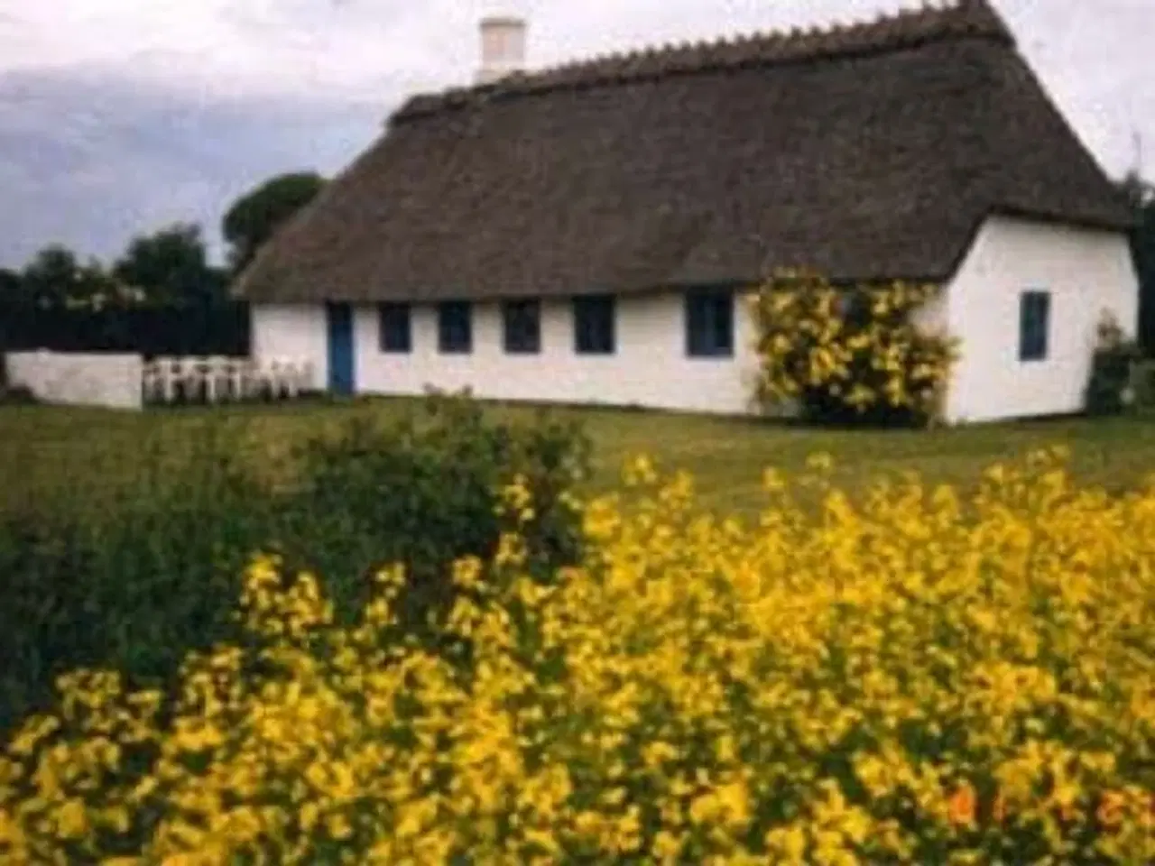 Billede 11 - Sommerhus på Drejø