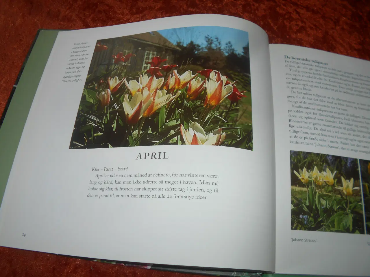 Billede 2 - Et år i min have, Anne Just