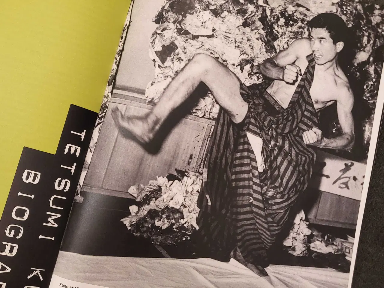 Billede 5 - Tetsumi Kudo: Cultivation