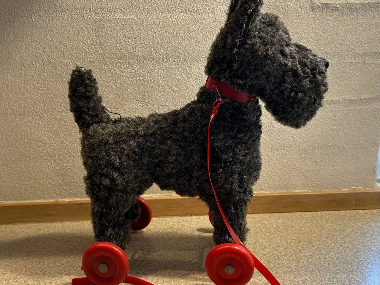 Billede 4 - Skotsk Terrier trækkehund 