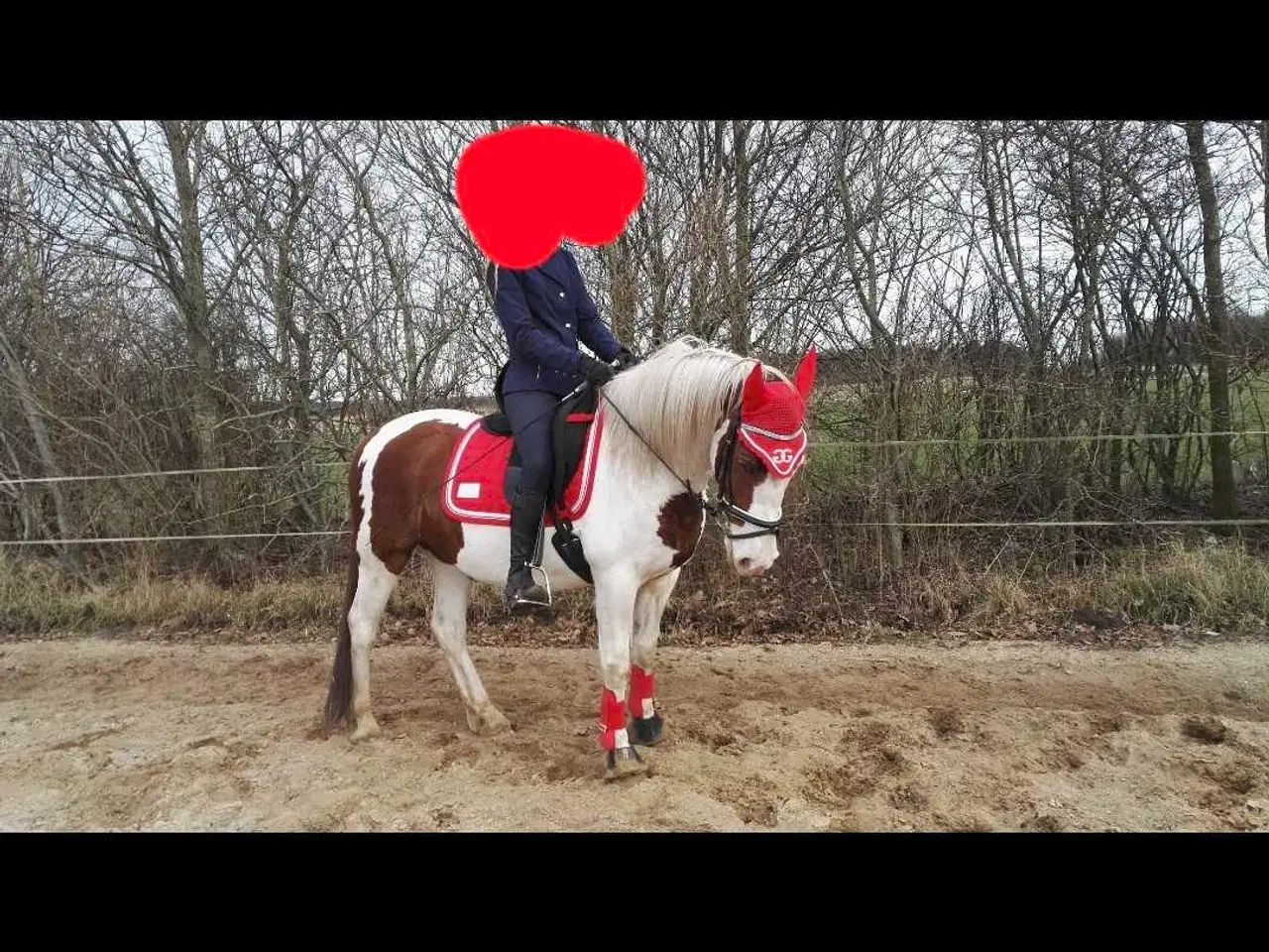 Billede 2 - Pony