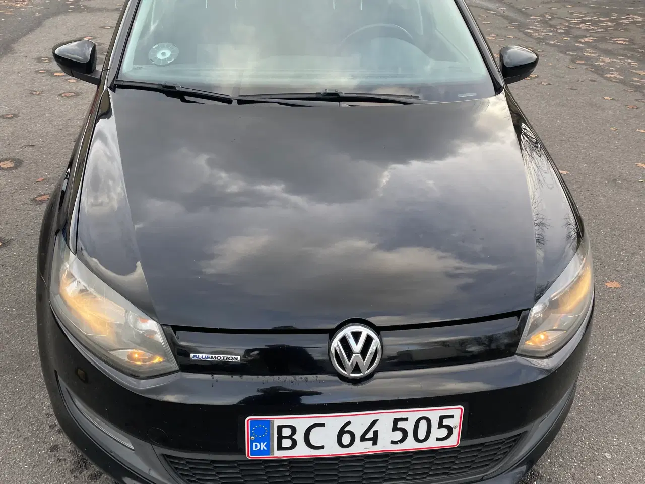 Billede 1 - WWW Polo