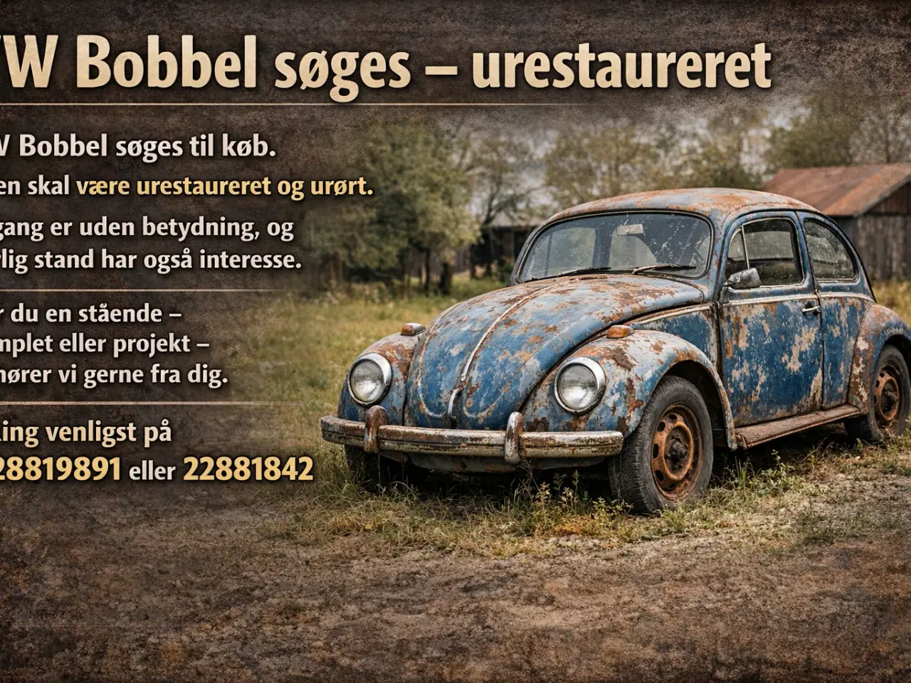Billede 1 - VW Bobbel købes!