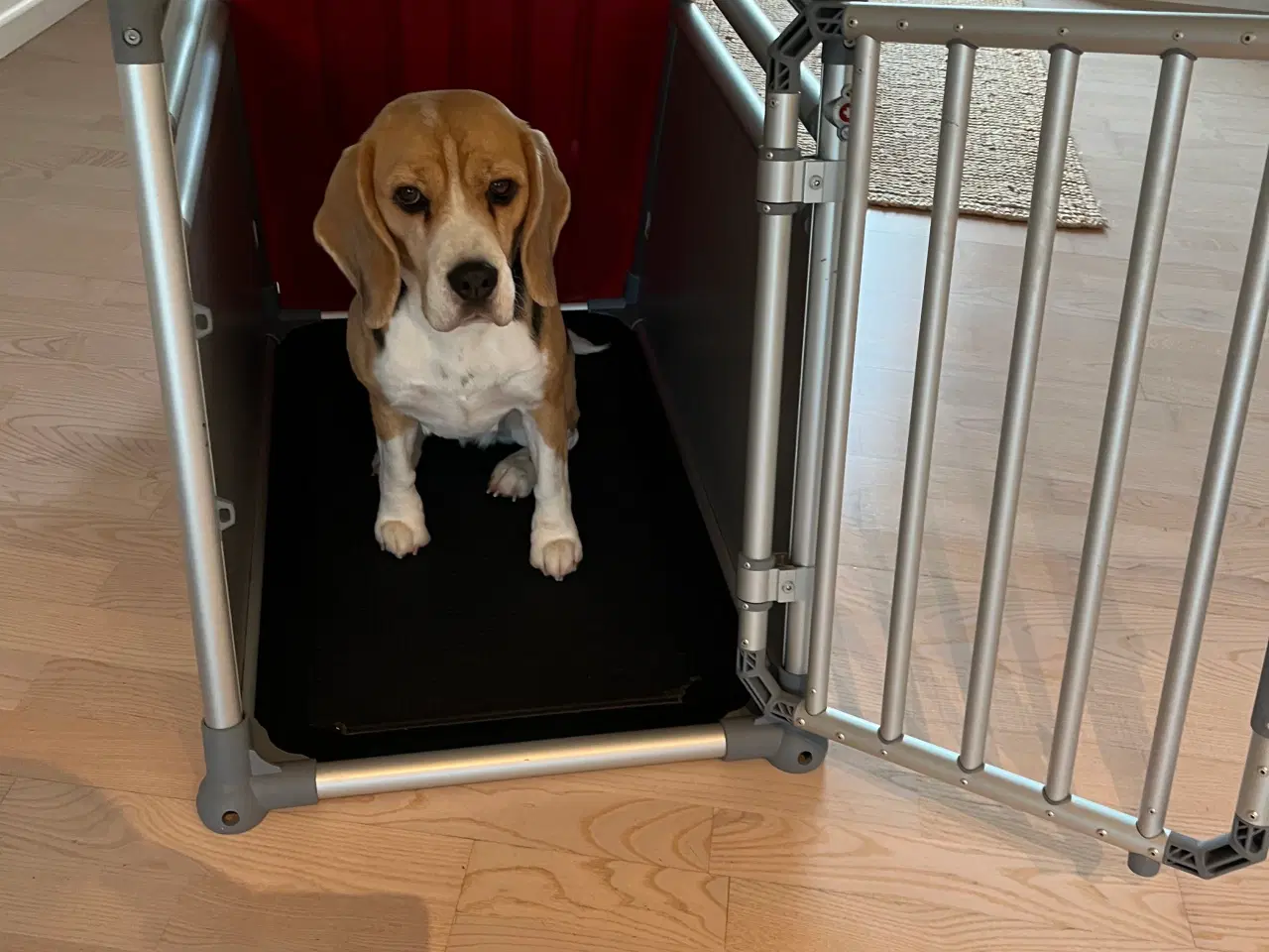 Billede 6 - 4 pets hundebur