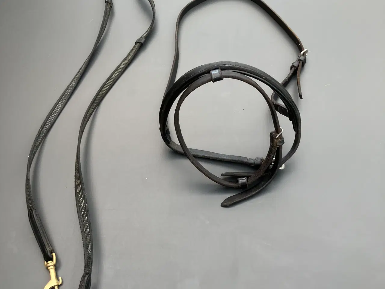 Billede 1 - Hovedtøj Islænder incl. tøjle 