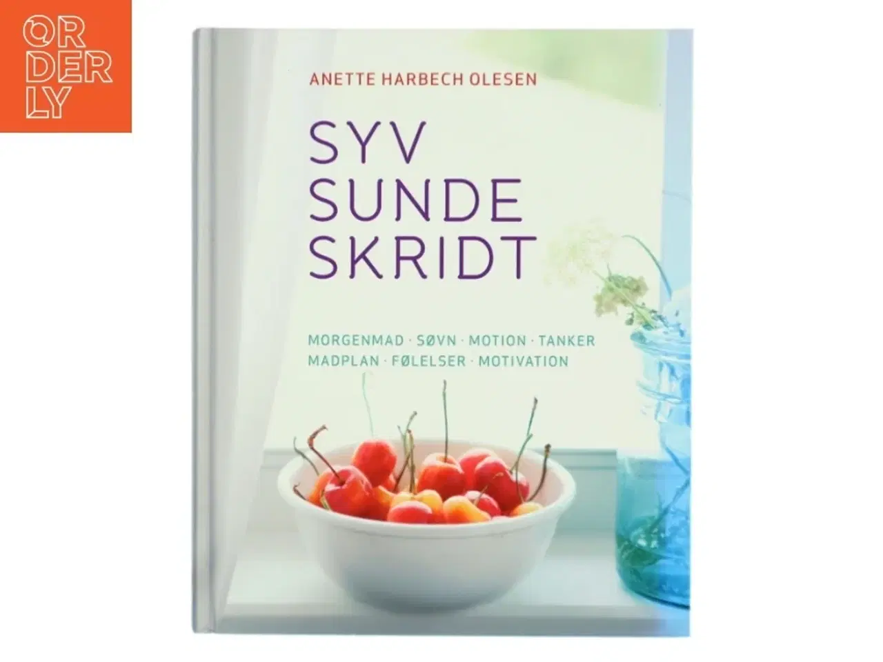 Billede 1 - Sund og i balance med syv sunde skridt af Anette Harbech Olesen (Bog)