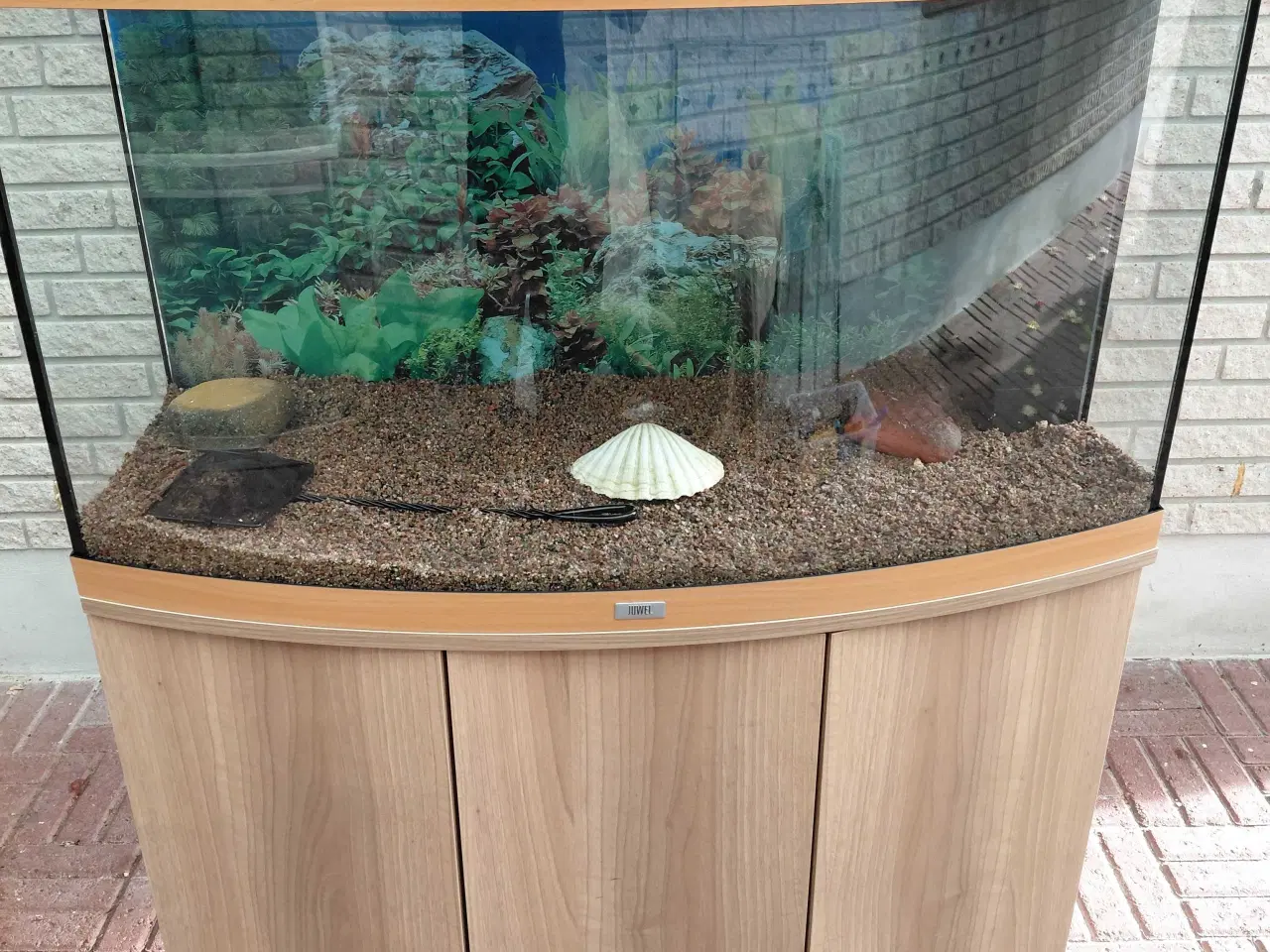 Billede 1 - Akvarier 180L