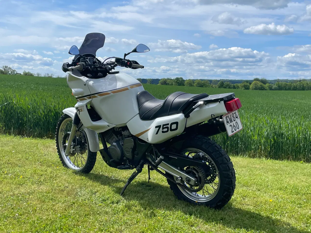 Billede 2 - Yamaha xt 750 super tenere