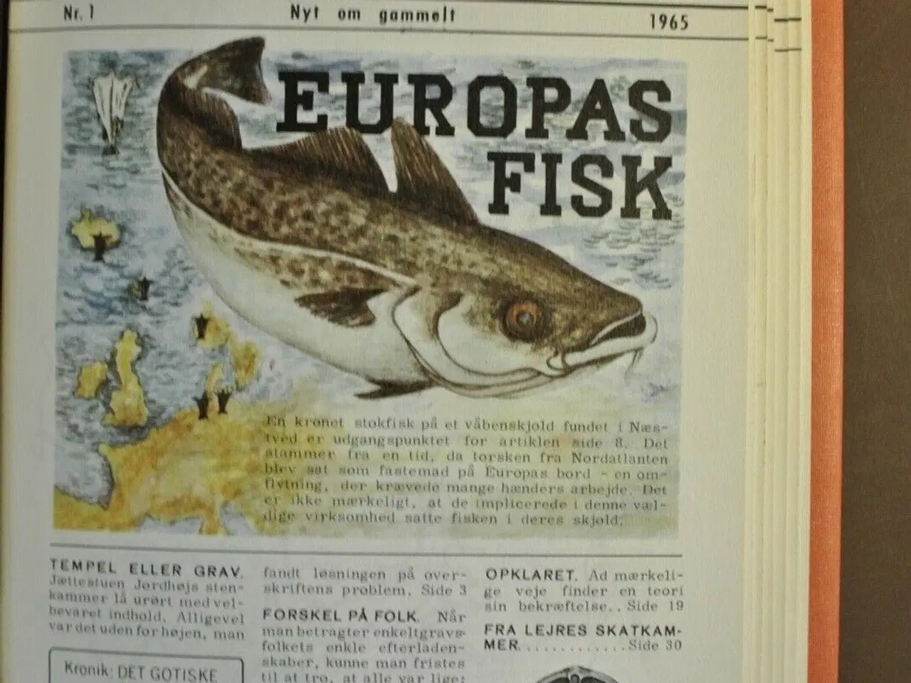 Billede 2 - skalk nr. 1-6 1965 i samlemappe, emne: historie og