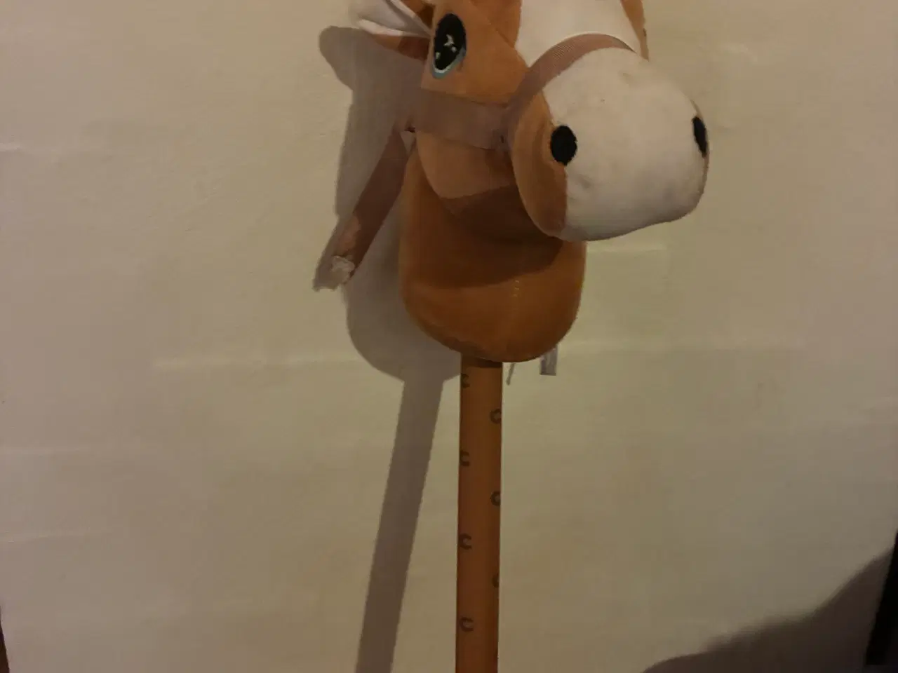 Billede 5 - Kæpheste