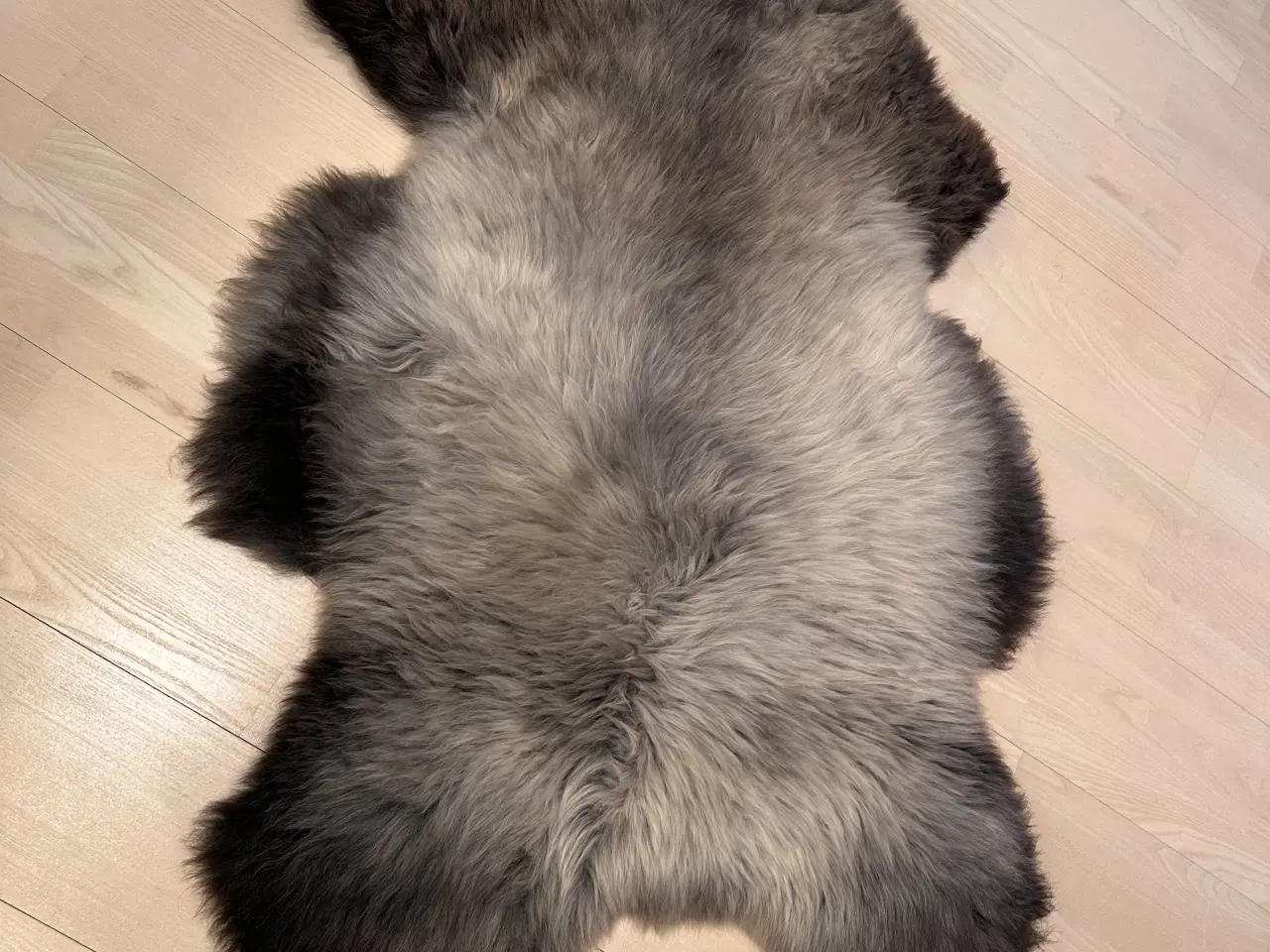 Billede 3 - Helt nyt lammeskind