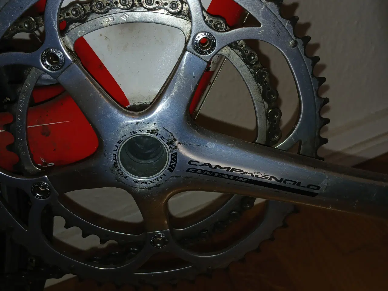 Billede 6 - Wiener triestina resercykler 