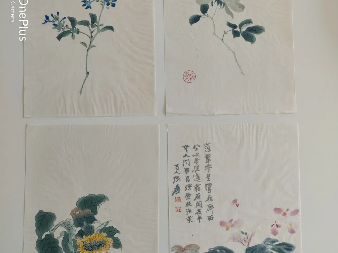Billede 1 - blomster illustrationer, gl. kinesiske