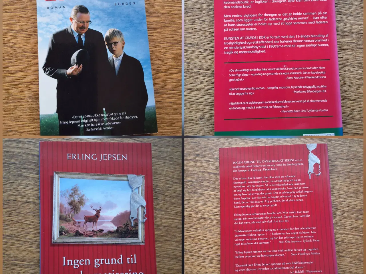 Billede 15 - BogUDsalg  5kr/stk. Samlet køb kan sendes. 