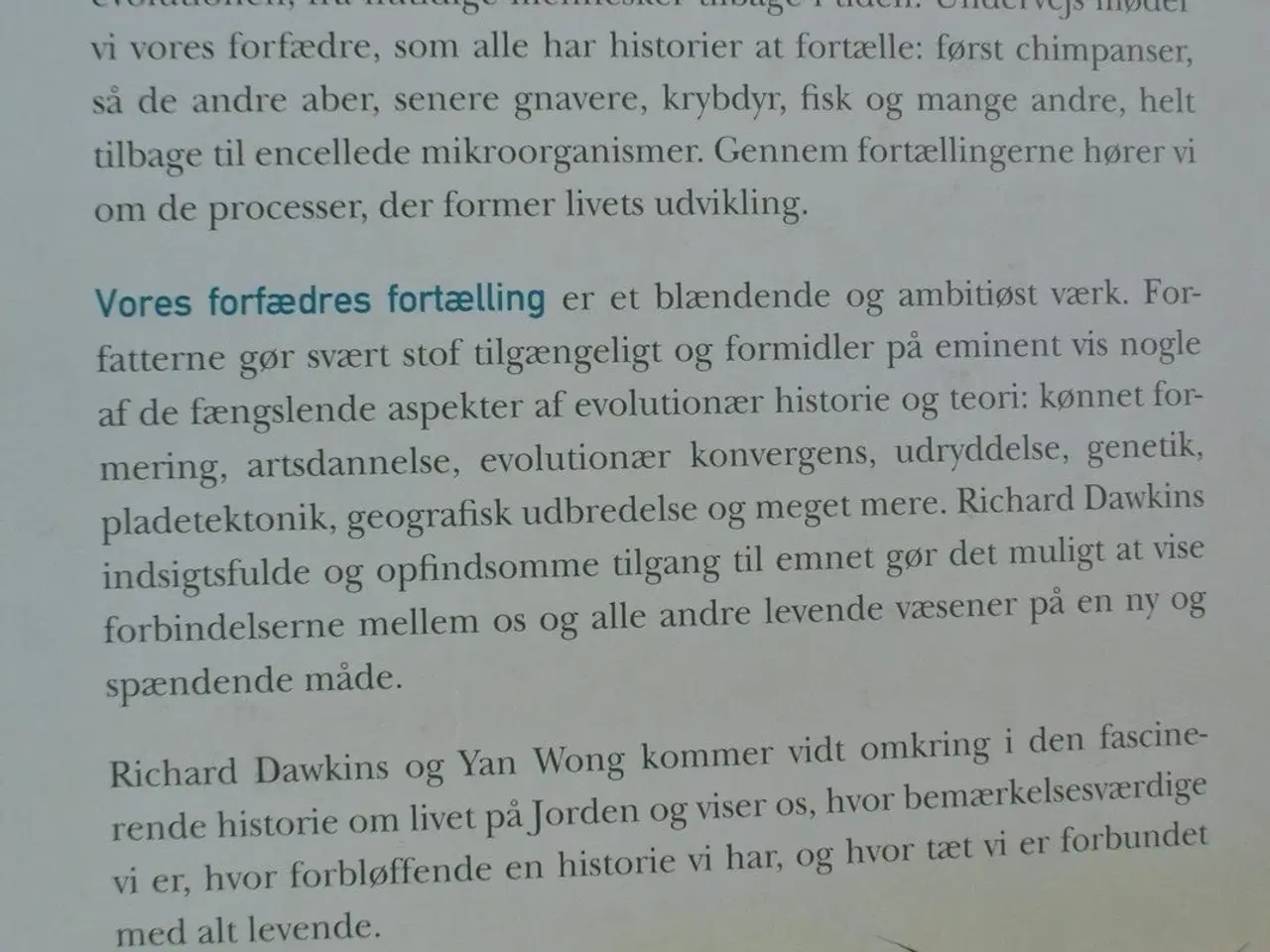 Billede 5 - vores forfædres fortælling - en pilgrimsrejse til 