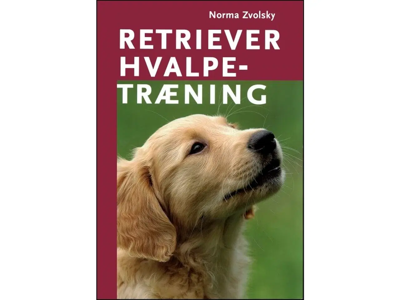 Billede 1 - Retriever Hvalpetræning