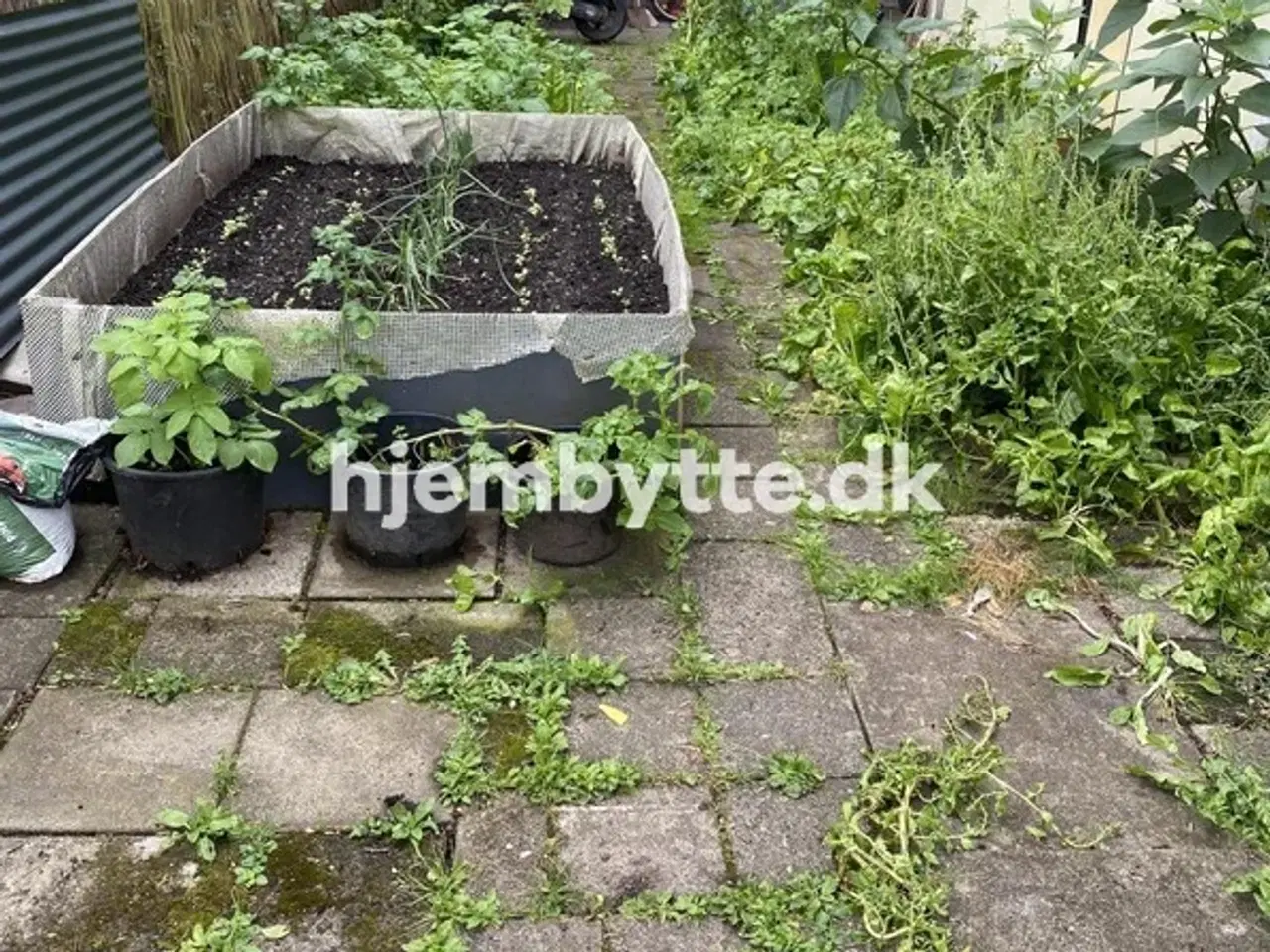 Billede 8 - Hjembytte - Hallingparken