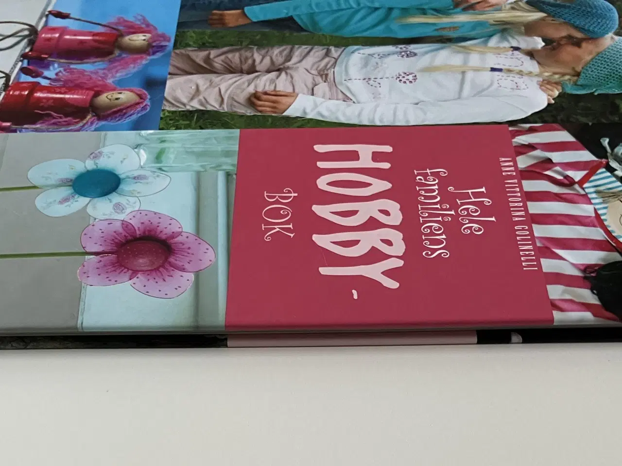 Billede 9 - Hele familiens hobbybok (Norsk)