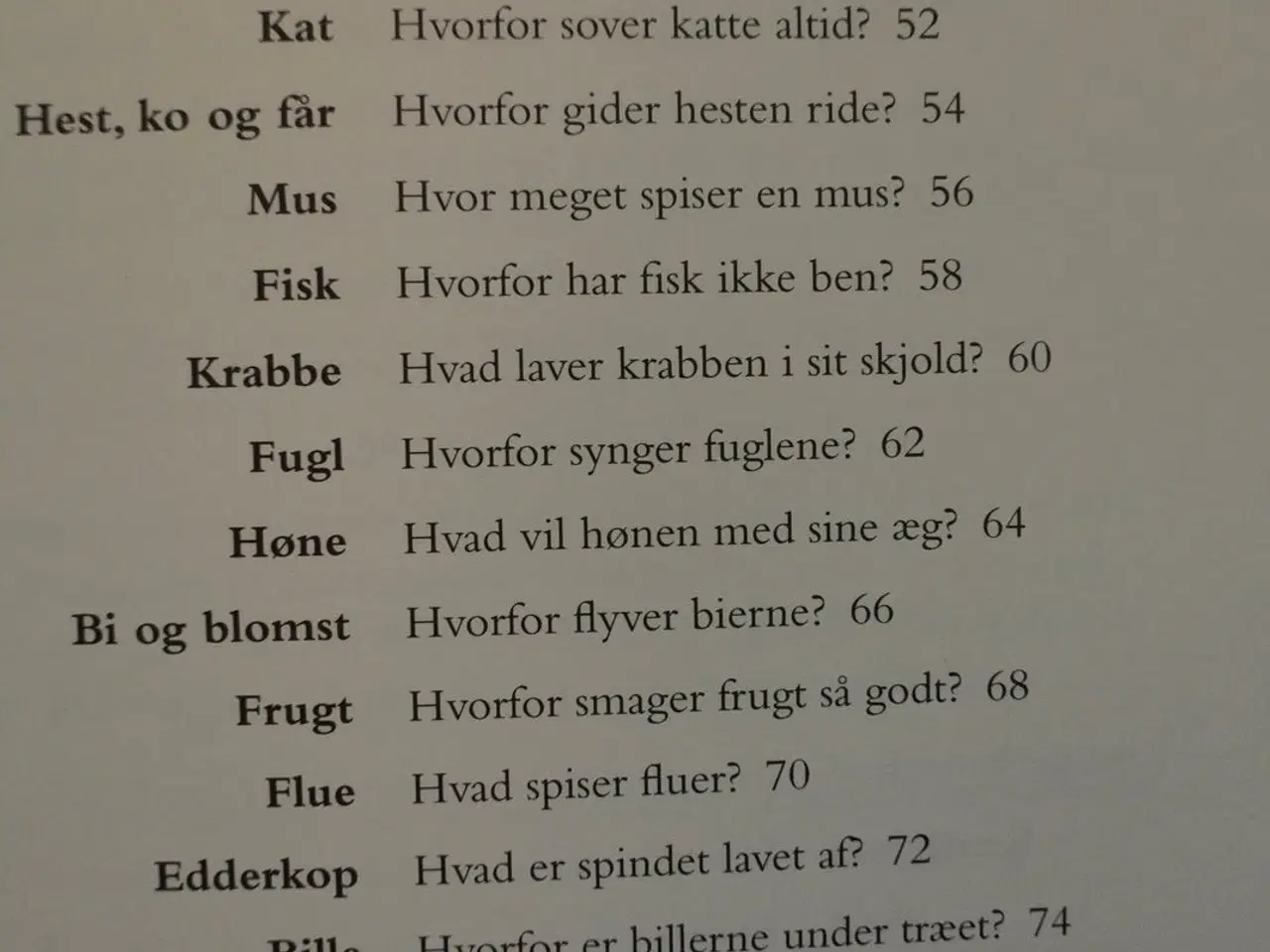 Billede 3 - børnespørgehjørne - spørgsmål de voksbe ikke kan s