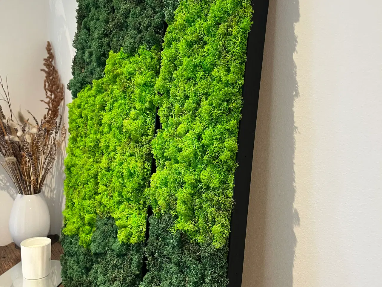 Billede 5 - Mos billeder vi laver 