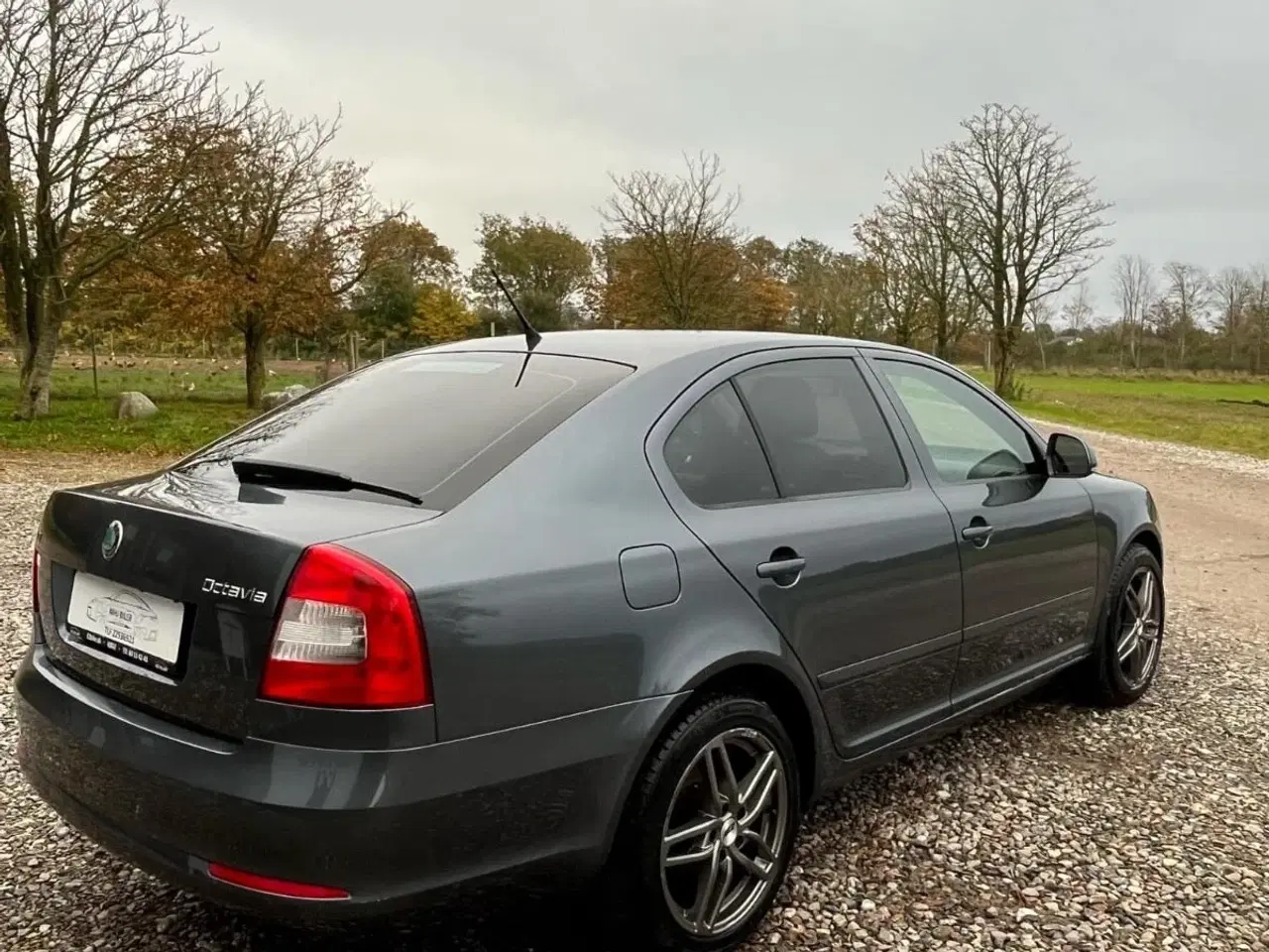 Billede 5 - Skoda Octavia 1,6 TDi 105 GreenLine