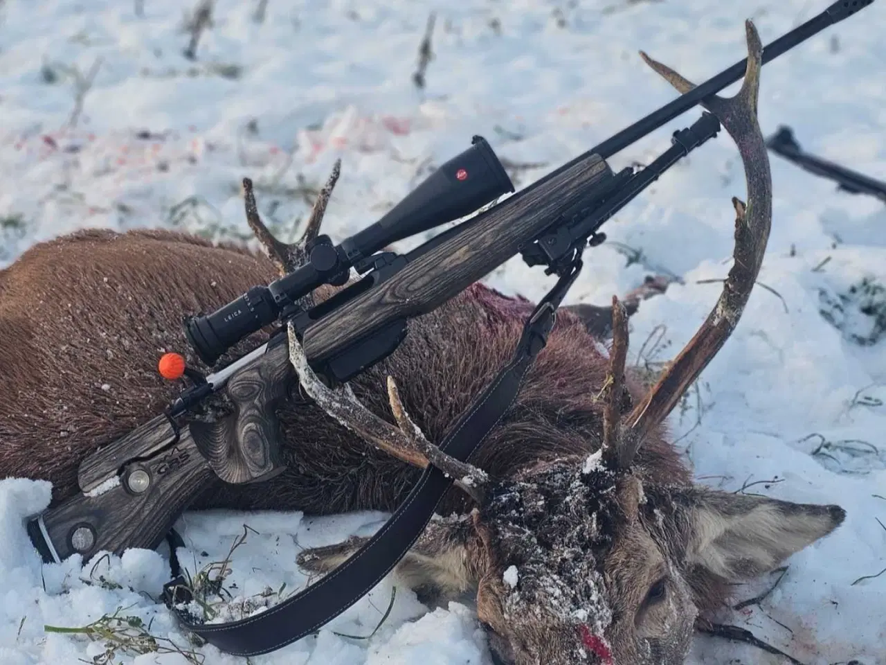 Billede 1 - Sauer 202 cal. 300 Win mag