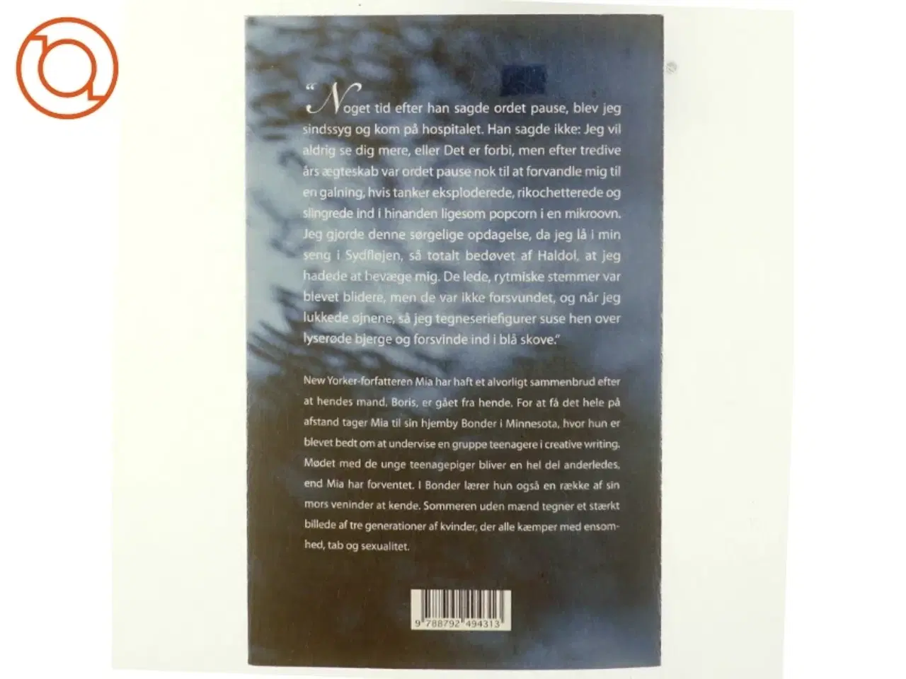 Billede 3 - Sommeren uden mænd : roman af Siri Hustvedt (Bog)