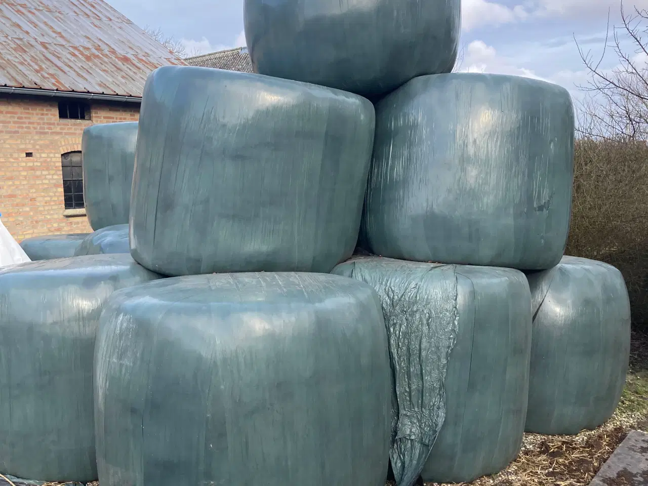 Billede 1 - Wrap græs