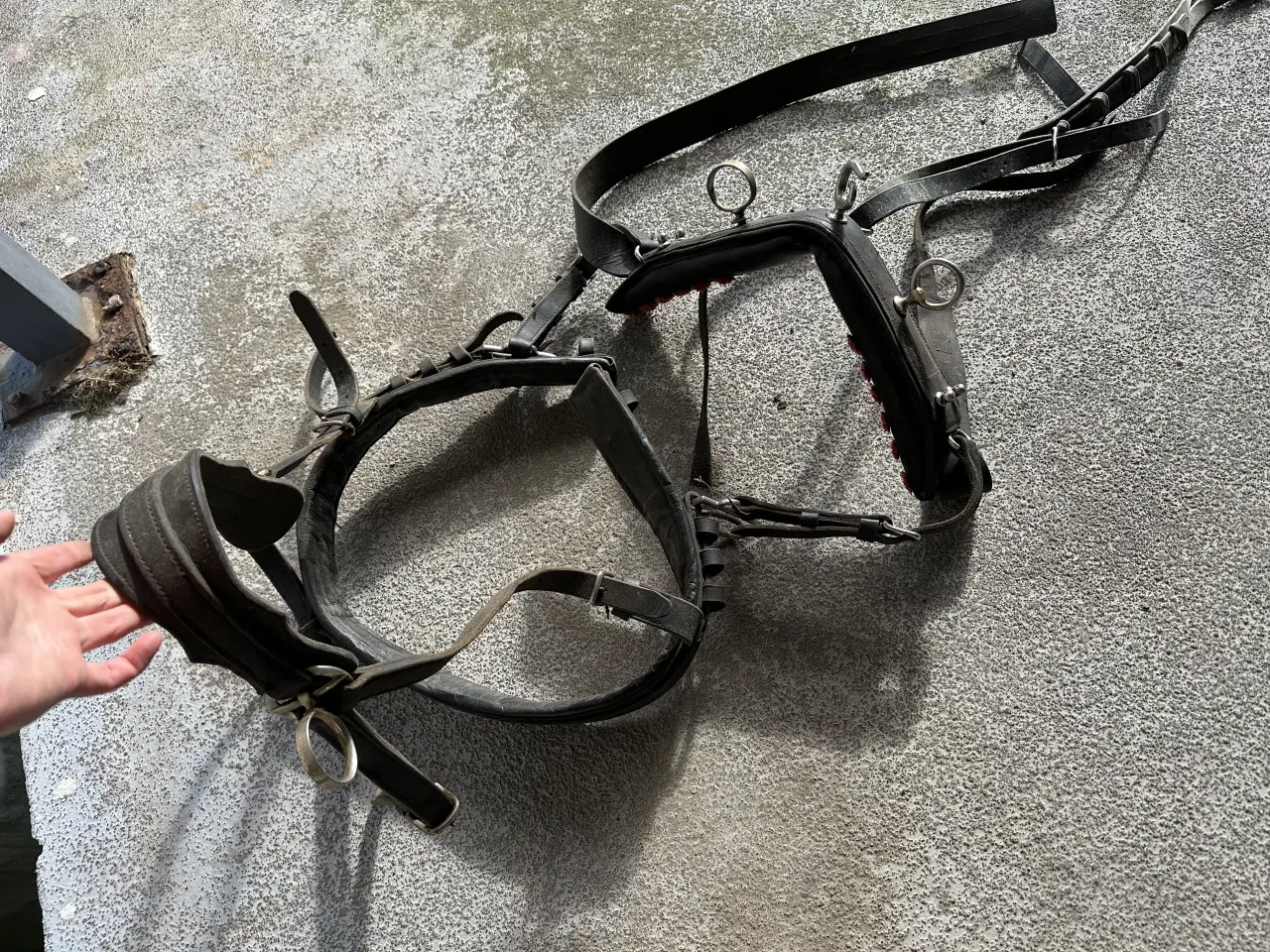 Billede 1 - Køresele / bringesele til mellem hest