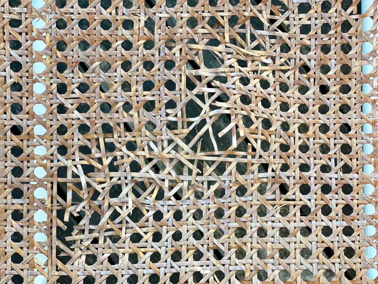 Billede 5 - Frisvingerstole med fransk flet