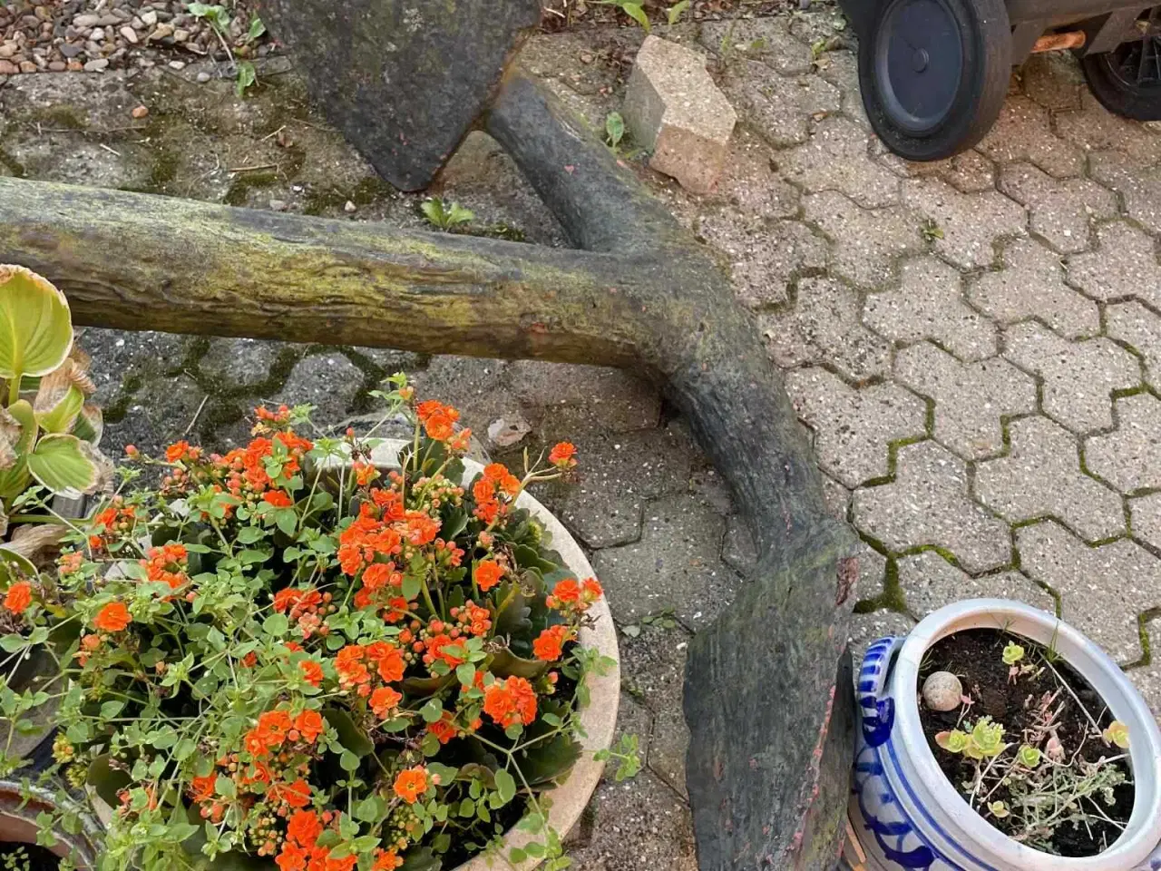 Billede 3 - Stort stok anker