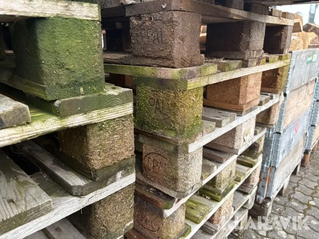 Billede 10 - Brænde og paller egetræ og bøgetræ