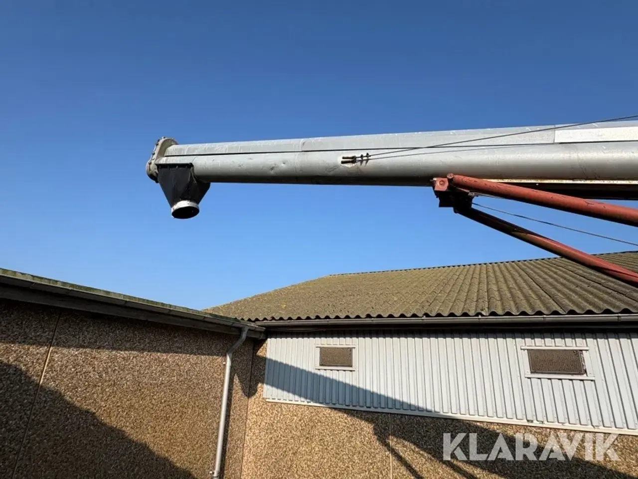 Billede 5 - Kornsnegl Hutchinson