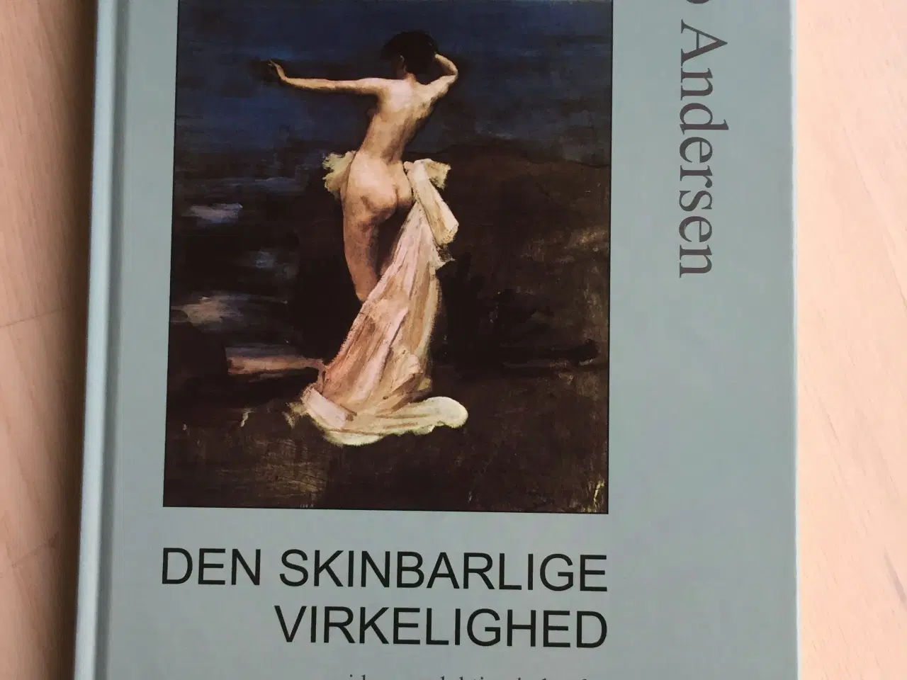 Billede 1 - Den Skinbarlige Virkelighed