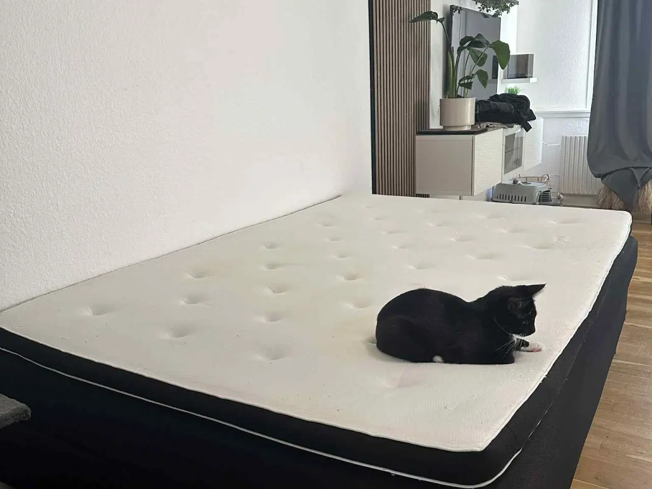 Billede 1 - Kontinental Seng ( Billig )