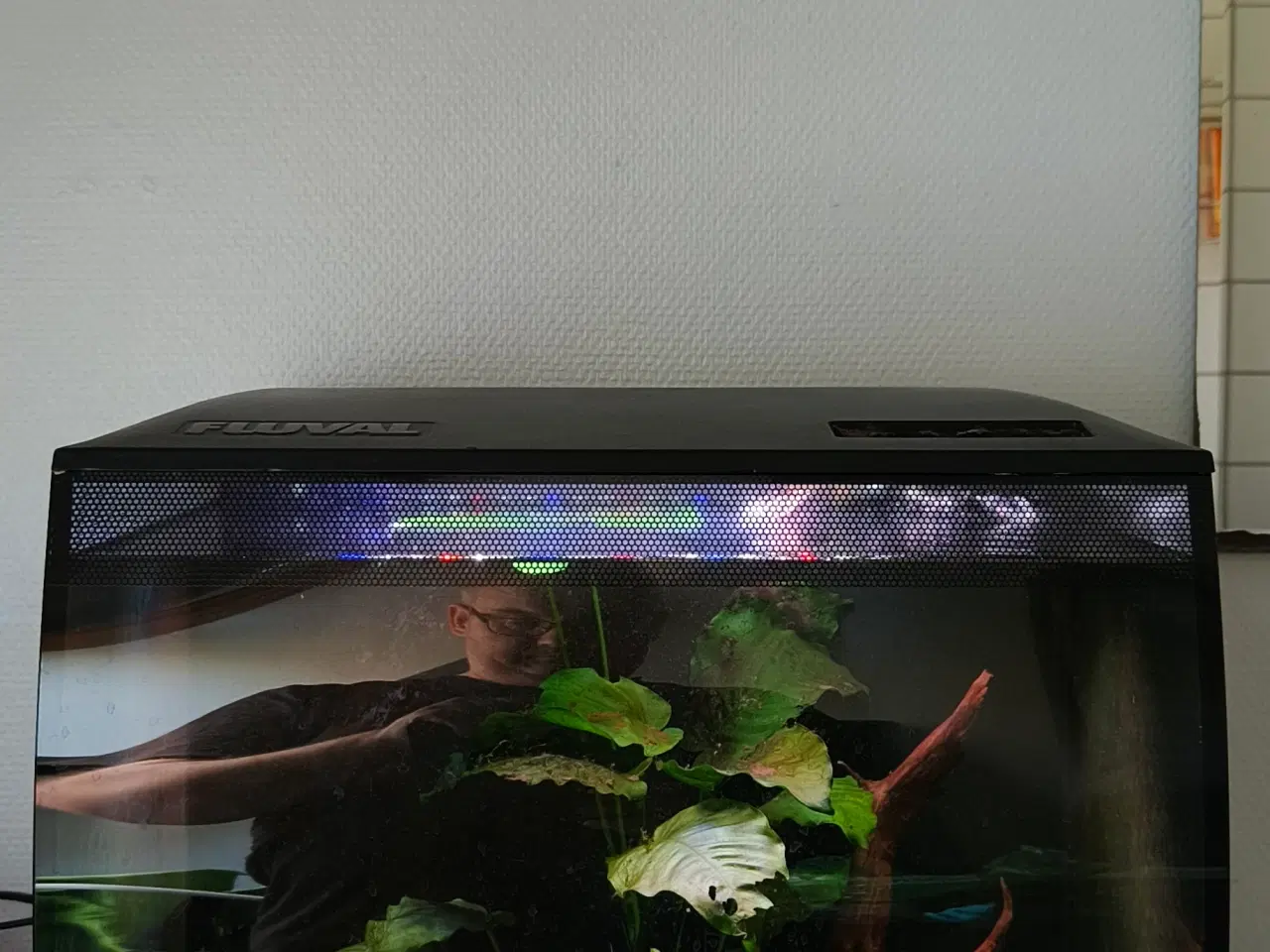 Billede 1 - Fluval flex 57 akvarie sælges