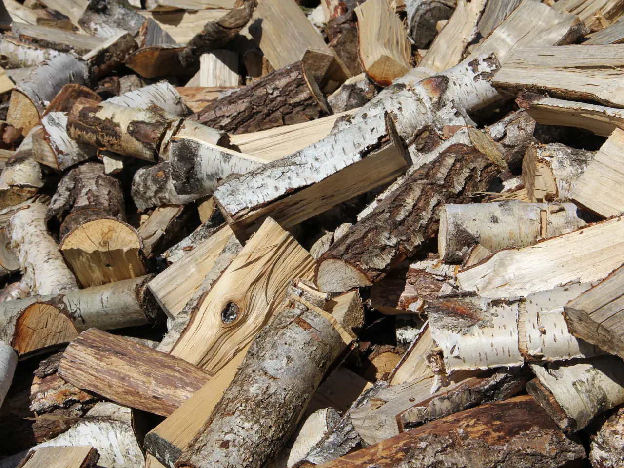 Billede 1 - Billigt TØRT BIRKETRÆ - BRÆNDE i sække sælges!