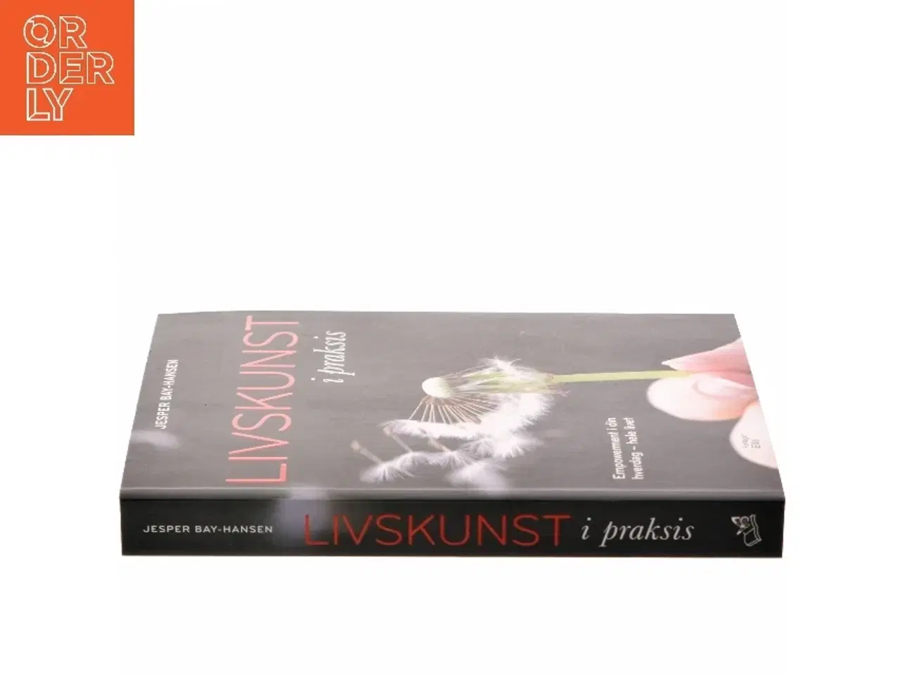 Billede 2 - Livskunst i praksis : empowerment i din hverdag - hele livet af Jesper Bay-Hansen (Bog)