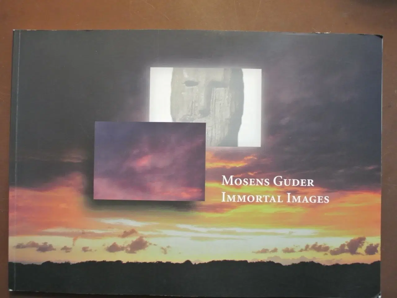 Billede 1 - mosens guder - immortal images, af wijnand van der