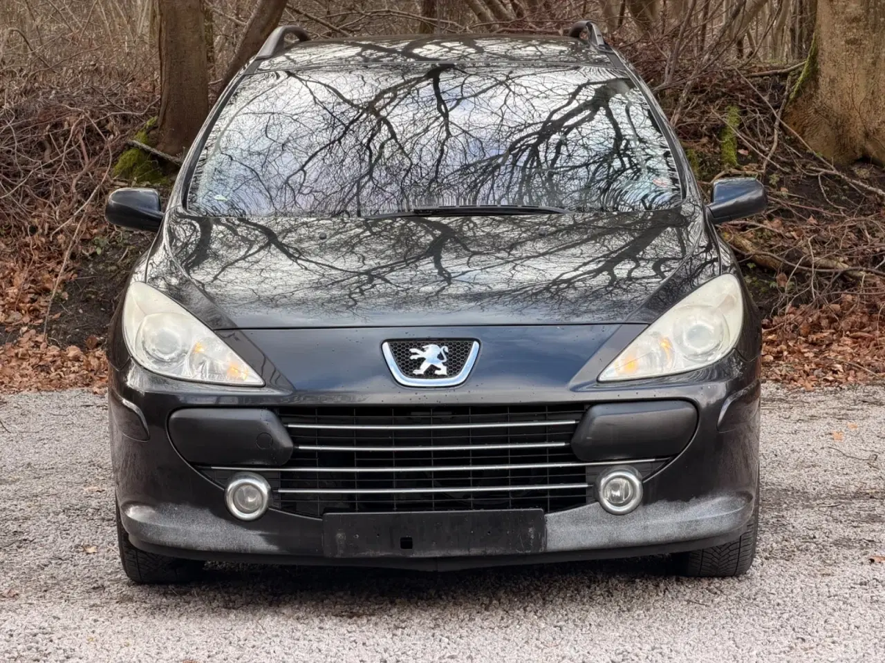 Billede 3 - Peugeot 307 1,6 Complete SW