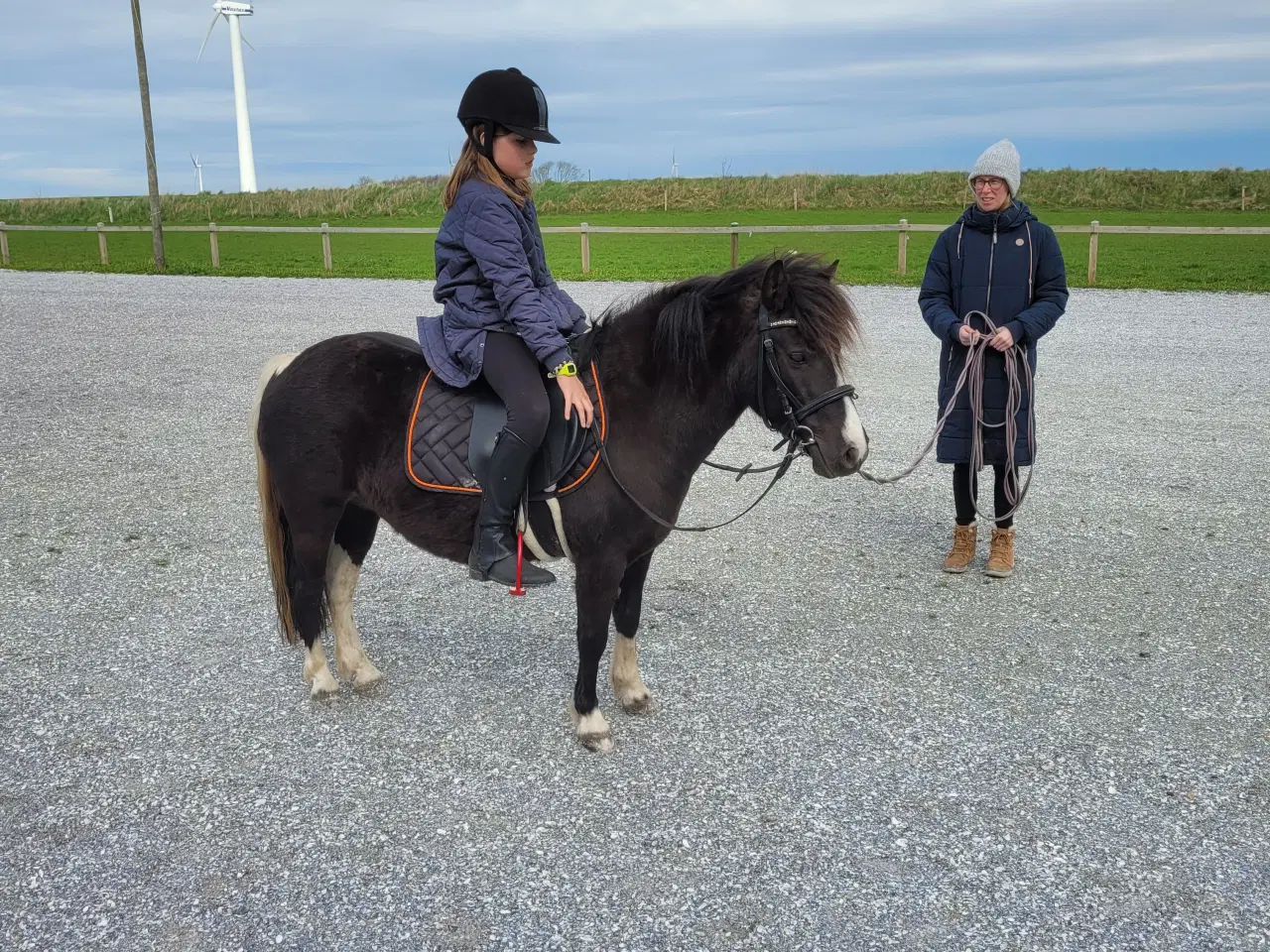 Billede 2 - Sød welch pony.