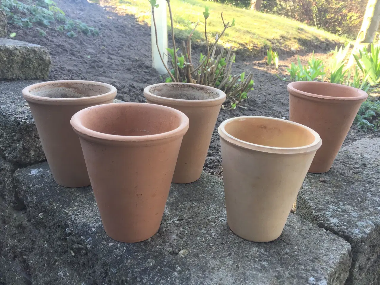 Billede 1 - 5 terracotta rosenpotter