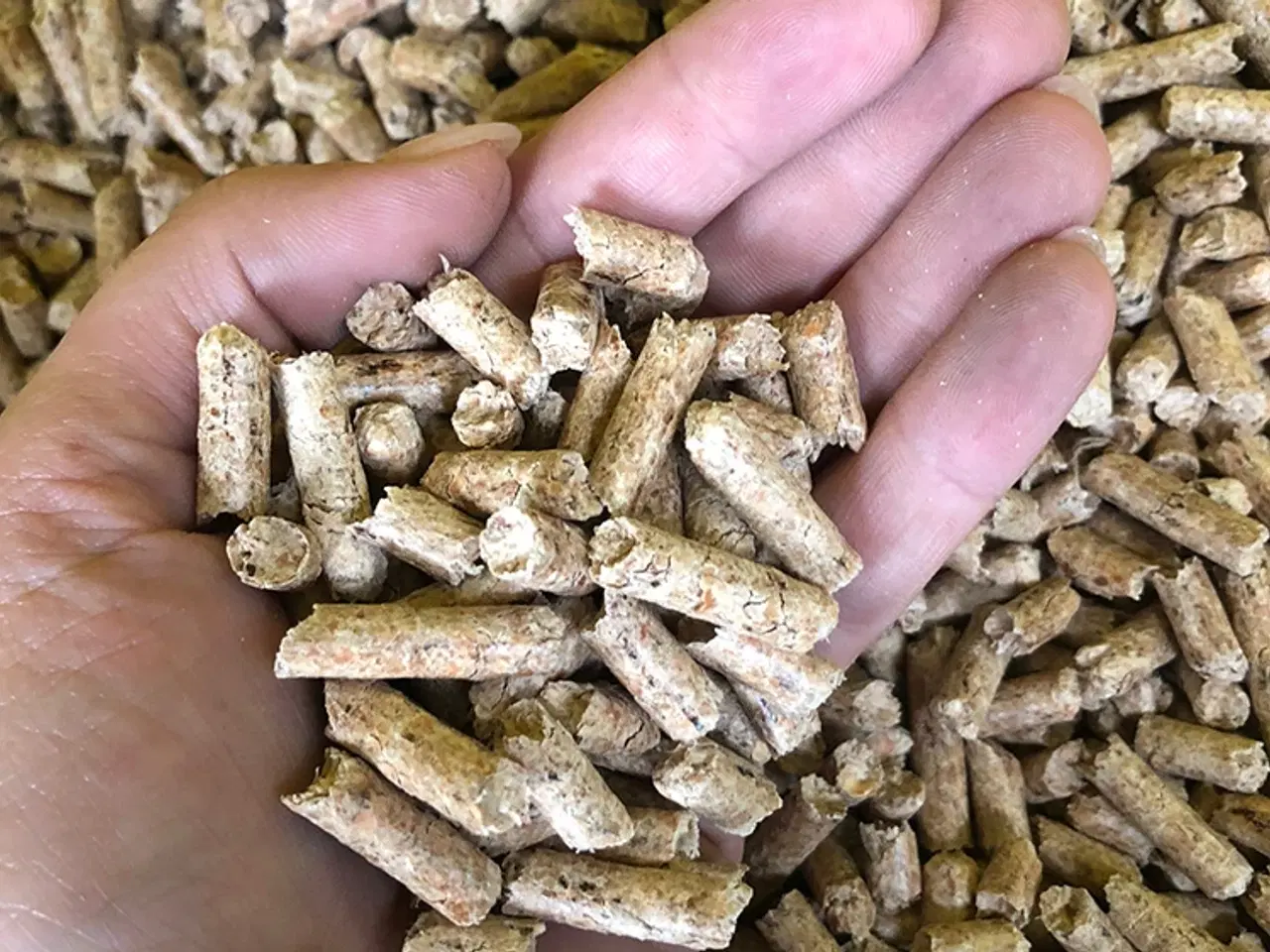Billede 2 - enplus a1 wood pellets