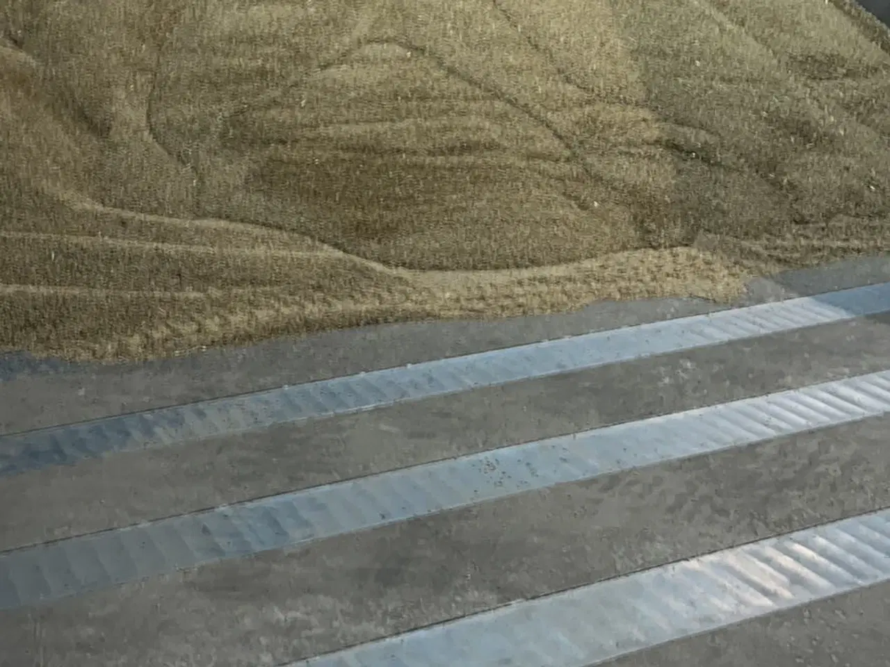 Billede 1 - Hvede byg havre