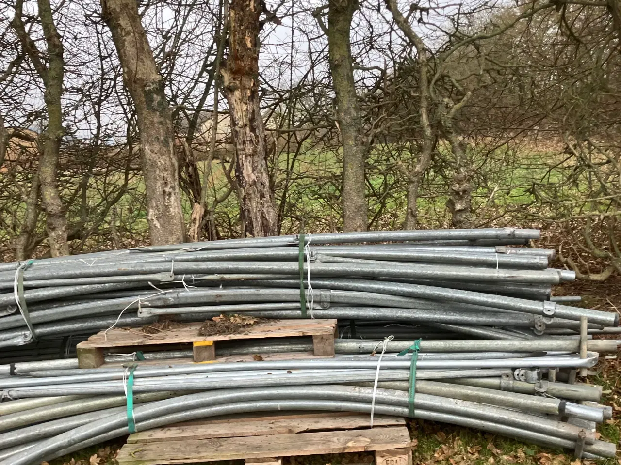 Billede 12 - Tunneldrivhus