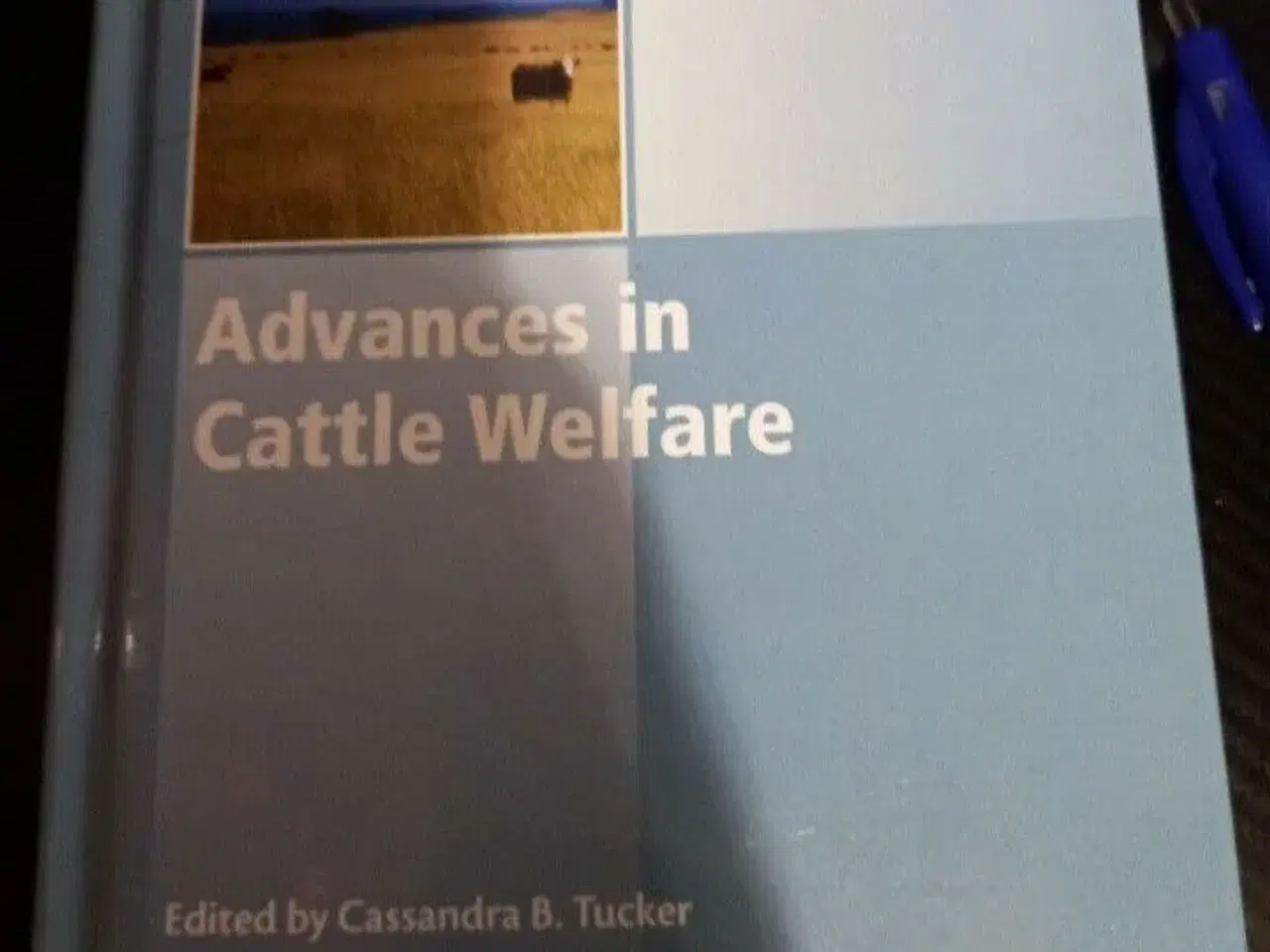 Billede 1 - Advances in Cattle Welfare 