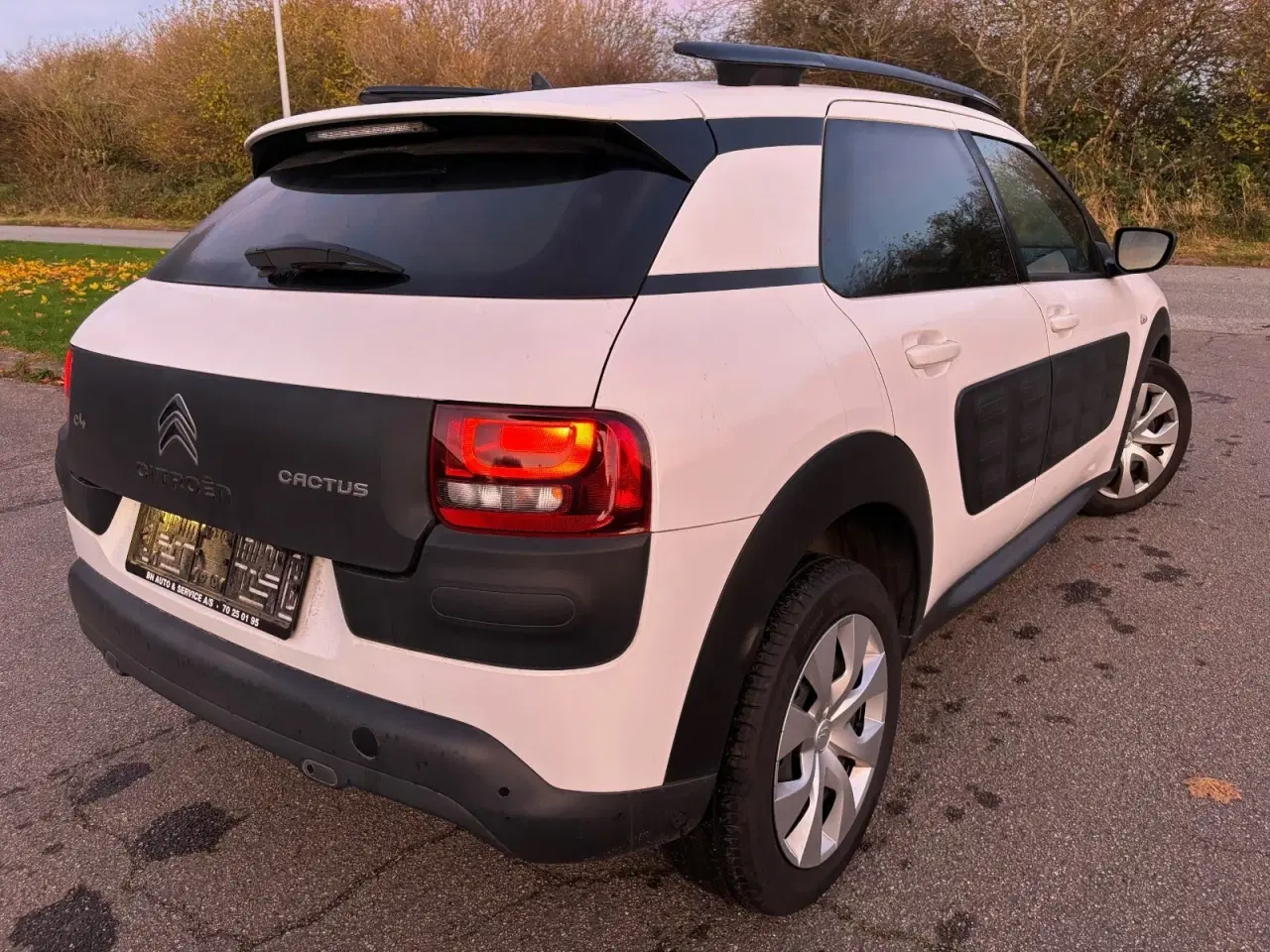 Billede 3 - Citroën C4 Cactus 1,6 BlueHDi 100 Shine Edition ETG6 Van