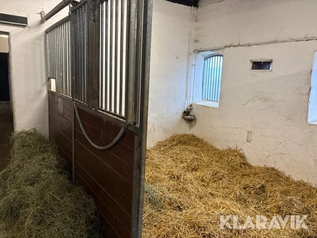 Billede 5 - Hestestalds inventar - 11 bokse i alt