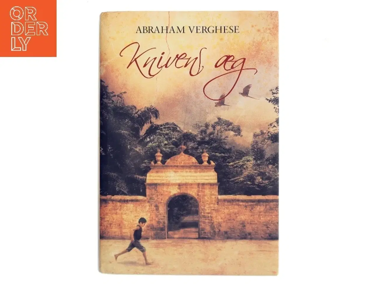 Billede 1 - Knivens æg : roman af Abraham Verghese (Bog)