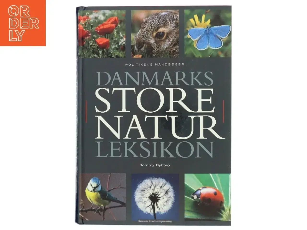Billede 1 - Danmarks store naturleksikon af Tommy Dybbro (Bog)
